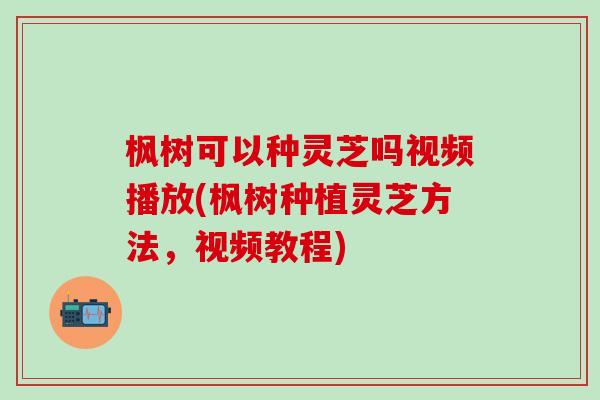 枫树可以种灵芝吗视频播放(枫树种植灵芝方法，视频教程)