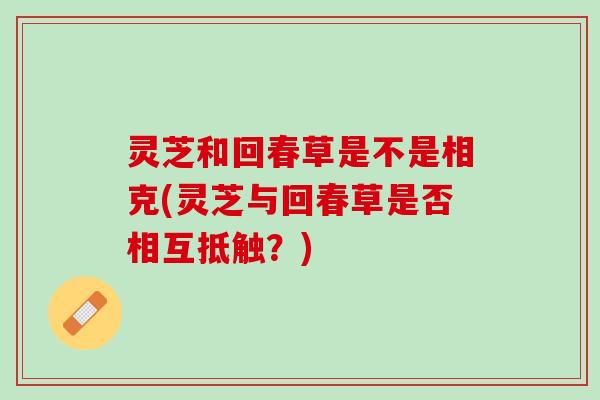 灵芝和回春草是不是相克(灵芝与回春草是否相互抵触？)