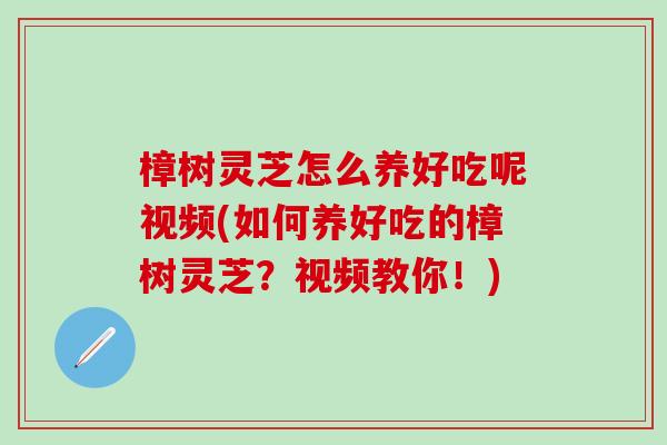 樟树灵芝怎么养好吃呢视频(如何养好吃的樟树灵芝？视频教你！)