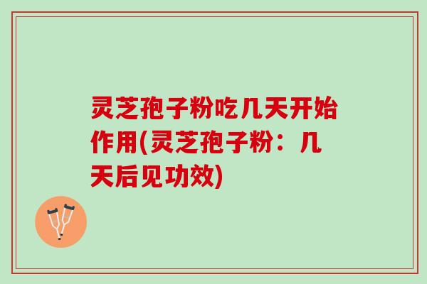 灵芝孢子粉吃几天开始作用(灵芝孢子粉：几天后见功效)