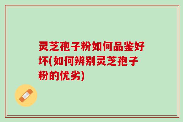 灵芝孢子粉如何品鉴好坏(如何辨别灵芝孢子粉的优劣)