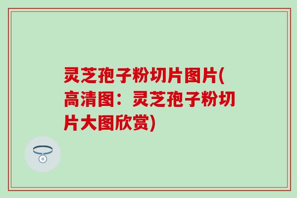 灵芝孢子粉切片图片(高清图：灵芝孢子粉切片大图欣赏)