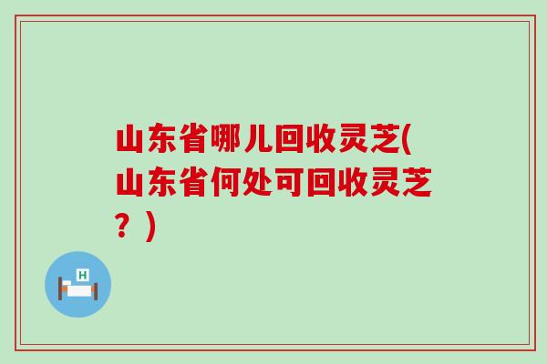 山东省哪儿回收灵芝(山东省何处可回收灵芝？)
