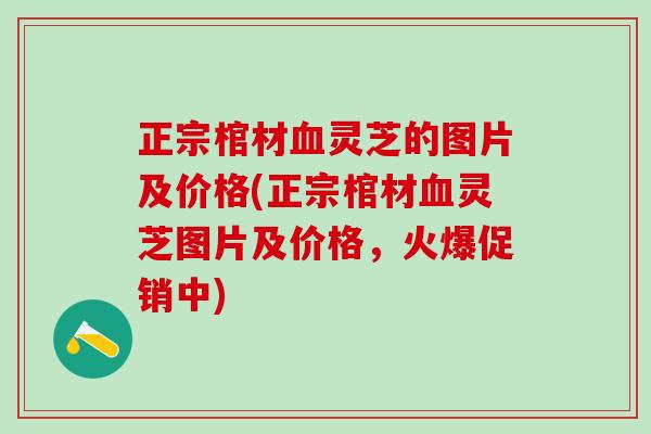 正宗棺材血灵芝的图片及价格(正宗棺材血灵芝图片及价格，火爆促销中)