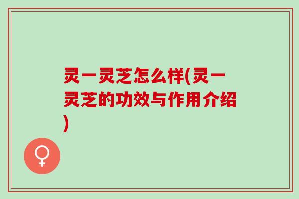 灵一灵芝怎么样(灵一灵芝的功效与作用介绍)