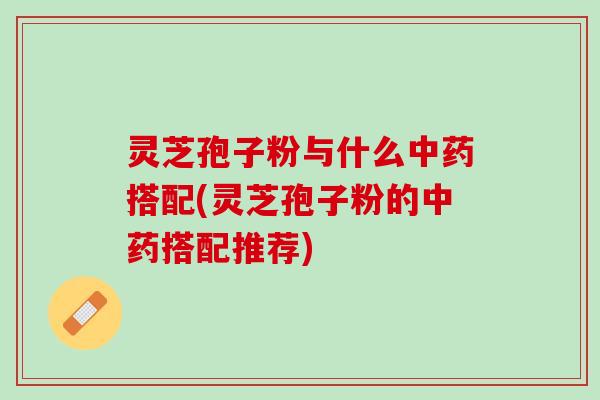 灵芝孢子粉与什么中药搭配(灵芝孢子粉的中药搭配推荐)