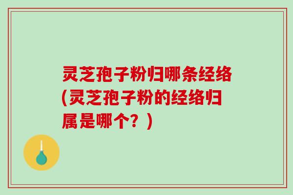 灵芝孢子粉归哪条经络(灵芝孢子粉的经络归属是哪个？)