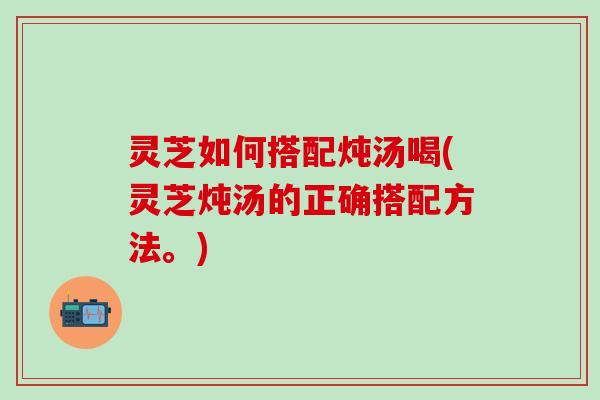 灵芝如何搭配炖汤喝(灵芝炖汤的正确搭配方法。)