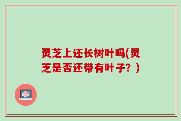 灵芝上还长树叶吗(灵芝是否还带有叶子？)