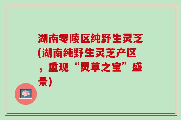 湖南零陵区纯野生灵芝(湖南纯野生灵芝产区，重现“灵草之宝”盛景)