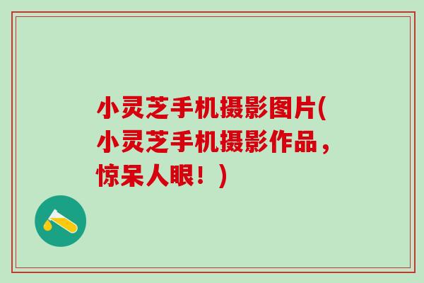 小灵芝手机摄影图片(小灵芝手机摄影作品，惊呆人眼！)