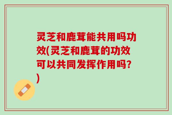 灵芝和鹿茸能共用吗功效(灵芝和鹿茸的功效可以共同发挥作用吗？)