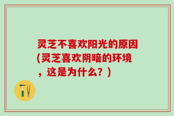 灵芝不喜欢阳光的原因(灵芝喜欢阴暗的环境，这是为什么？)