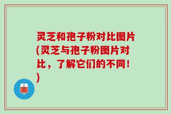 灵芝和孢子粉对比图片(灵芝与孢子粉图片对比，了解它们的不同！)