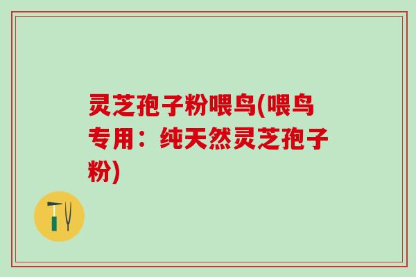 灵芝孢子粉喂鸟(喂鸟专用：纯天然灵芝孢子粉)