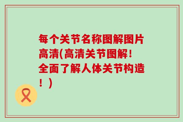每个关节名称图解图片高清(高清关节图解！全面了解人体关节构造！)