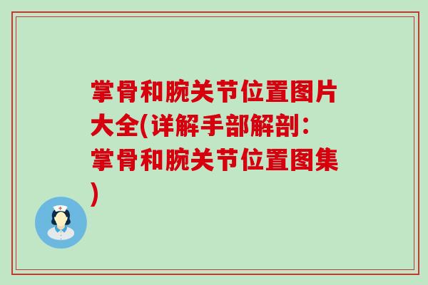 掌骨和腕关节位置图片大全(详解手部解剖：掌骨和腕关节位置图集)