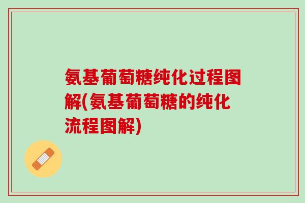 氨基葡萄糖纯化过程图解(氨基葡萄糖的纯化流程图解)