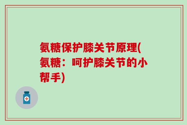 氨糖保护膝关节原理(氨糖：呵护膝关节的小帮手)