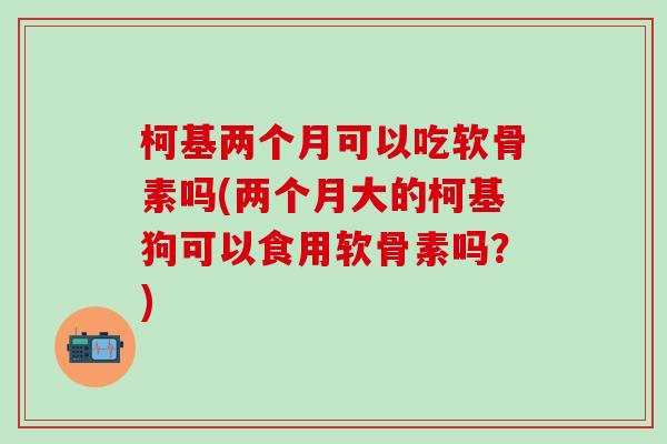 柯基两个月可以吃软骨素吗(两个月大的柯基狗可以食用软骨素吗？)