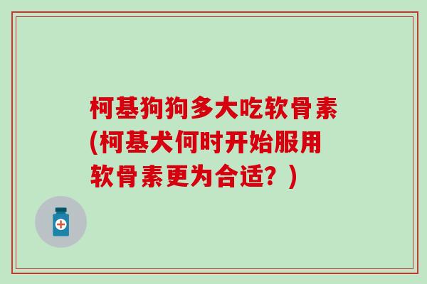 柯基狗狗多大吃软骨素(柯基犬何时开始服用软骨素更为合适?) 柯基狗狗多大吃软骨素(柯基犬何时开始服用软骨素更为合适?)