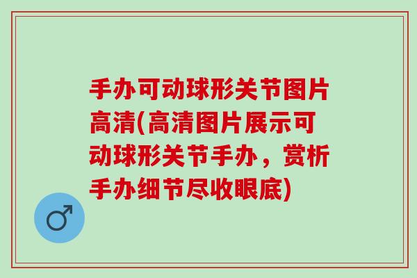 手办可动球形关节图片高清(高清图片展示可动球形关节手办，赏析手办细节尽收眼底)