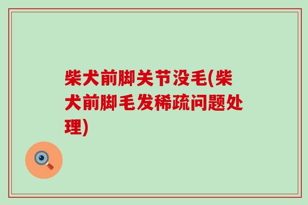柴犬前脚关节没毛(柴犬前脚毛发稀疏问题处理)