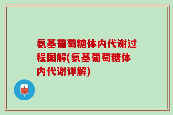 氨基葡萄糖体内代谢过程图解(氨基葡萄糖体内代谢详解)