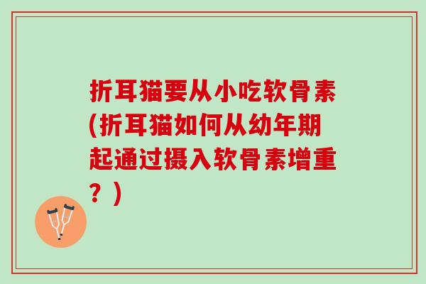 折耳猫要从小吃软骨素(折耳猫如何从幼年期起通过摄入软骨素增重？)