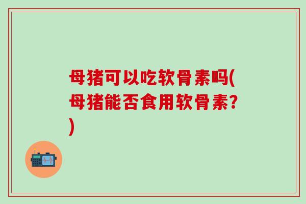 母猪可以吃软骨素吗(母猪能否食用软骨素？)