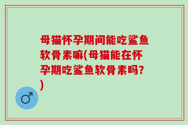 母猫怀孕期间能吃鲨鱼软骨素嘛(母猫能在怀孕期吃鲨鱼软骨素吗？)