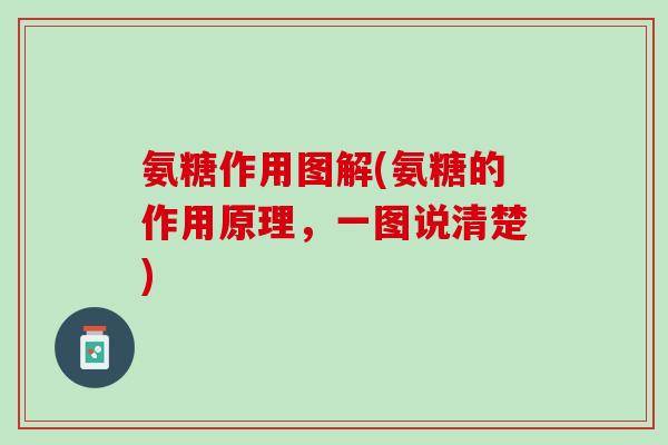 氨糖作用图解(氨糖的作用原理，一图说清楚)