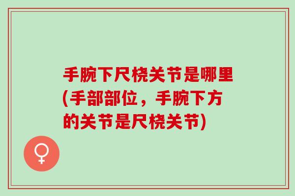 手腕下尺桡关节是哪里(手部部位，手腕下方的关节是尺桡关节)