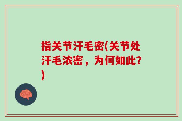 指关节汗毛密(关节处汗毛浓密，为何如此？)