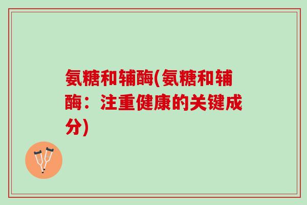氨糖和辅酶(氨糖和辅酶：注重健康的关键成分)
