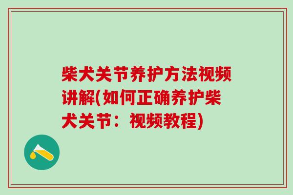 柴犬关节养护方法视频讲解(如何正确养护柴犬关节：视频教程)