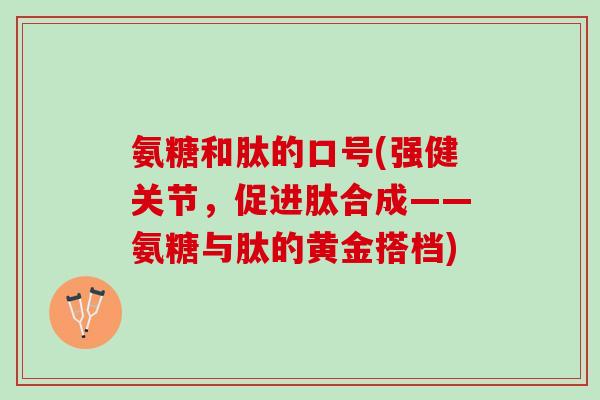 氨糖和肽的口号(强健关节，促进肽合成——氨糖与肽的黄金搭档)
