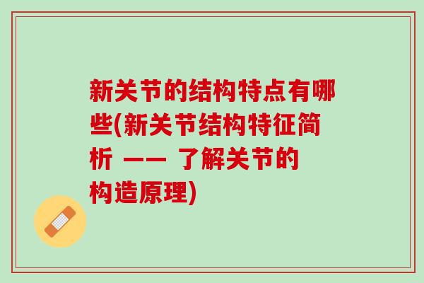 新关节的结构特点有哪些(新关节结构特征简析 —— 了解关节的构造原理)