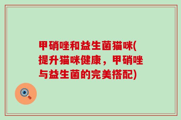 甲硝唑和益生菌猫咪(提升猫咪健康，甲硝唑与益生菌的完美搭配)