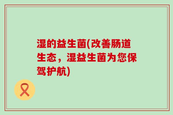 湿的益生菌(改善肠道生态，湿益生菌为您保驾护航)