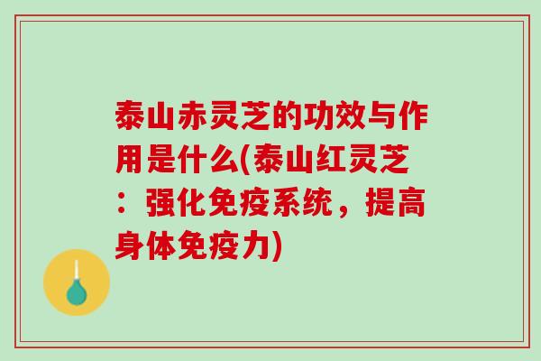 泰山赤灵芝的功效与作用是什么(泰山红灵芝：强化免疫系统，提高身体免疫力)