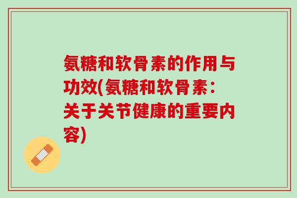 氨糖和软骨素的作用与功效(氨糖和软骨素：关于关节健康的重要内容)