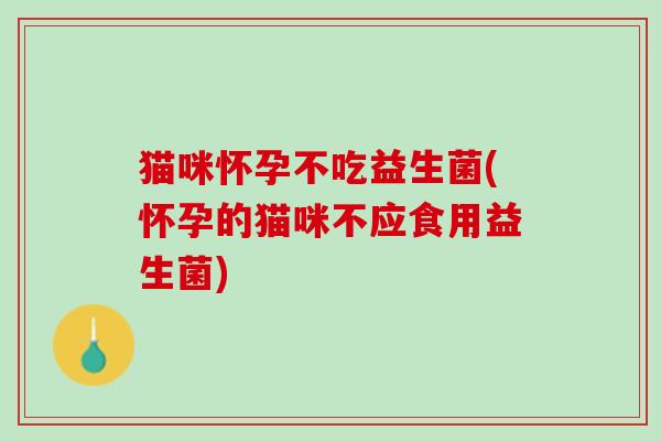 猫咪怀孕不吃益生菌(怀孕的猫咪不应食用益生菌)