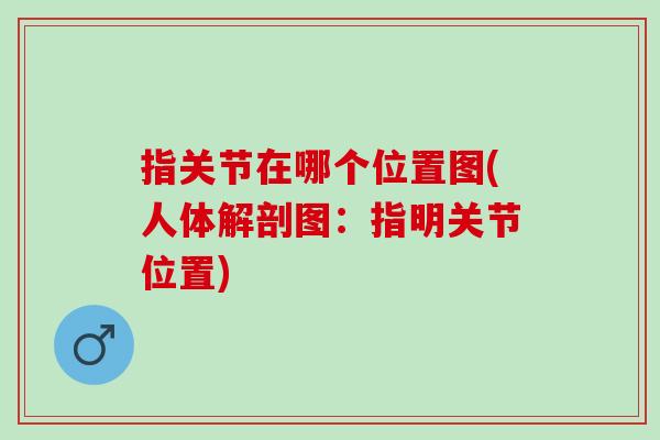 指关节在哪个位置图(人体解剖图：指明关节位置)