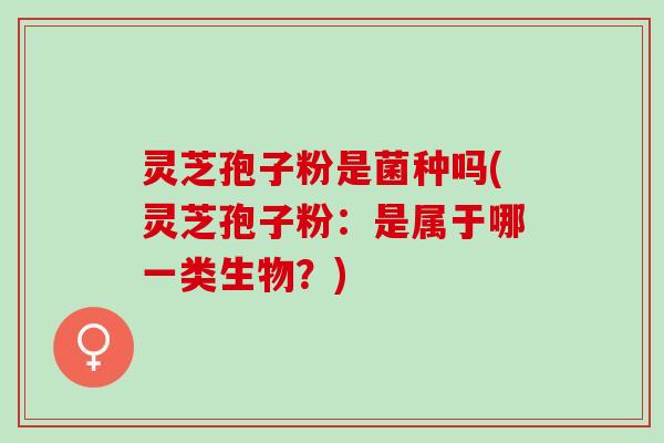 灵芝孢子粉是菌种吗(灵芝孢子粉：是属于哪一类生物？)