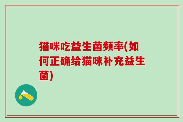 猫咪吃益生菌频率(如何正确给猫咪补充益生菌)