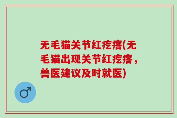 无毛猫关节红疙瘩(无毛猫出现关节红疙瘩，兽医建议及时就医)