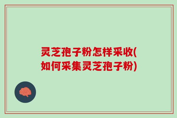 灵芝孢子粉怎样采收(如何采集灵芝孢子粉)