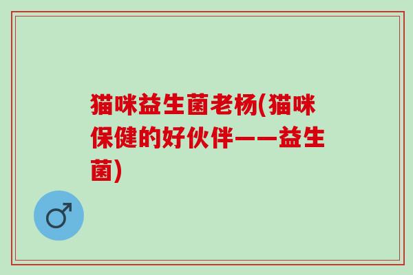 猫咪益生菌老杨(猫咪保健的好伙伴——益生菌) 猫咪益生菌老杨(猫咪保健的好伙伴——益生菌)