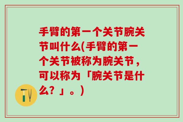 手臂的第一个关节腕关节叫什么(手臂的第一个关节被称为腕关节，可以称为「腕关节是什么？」。)